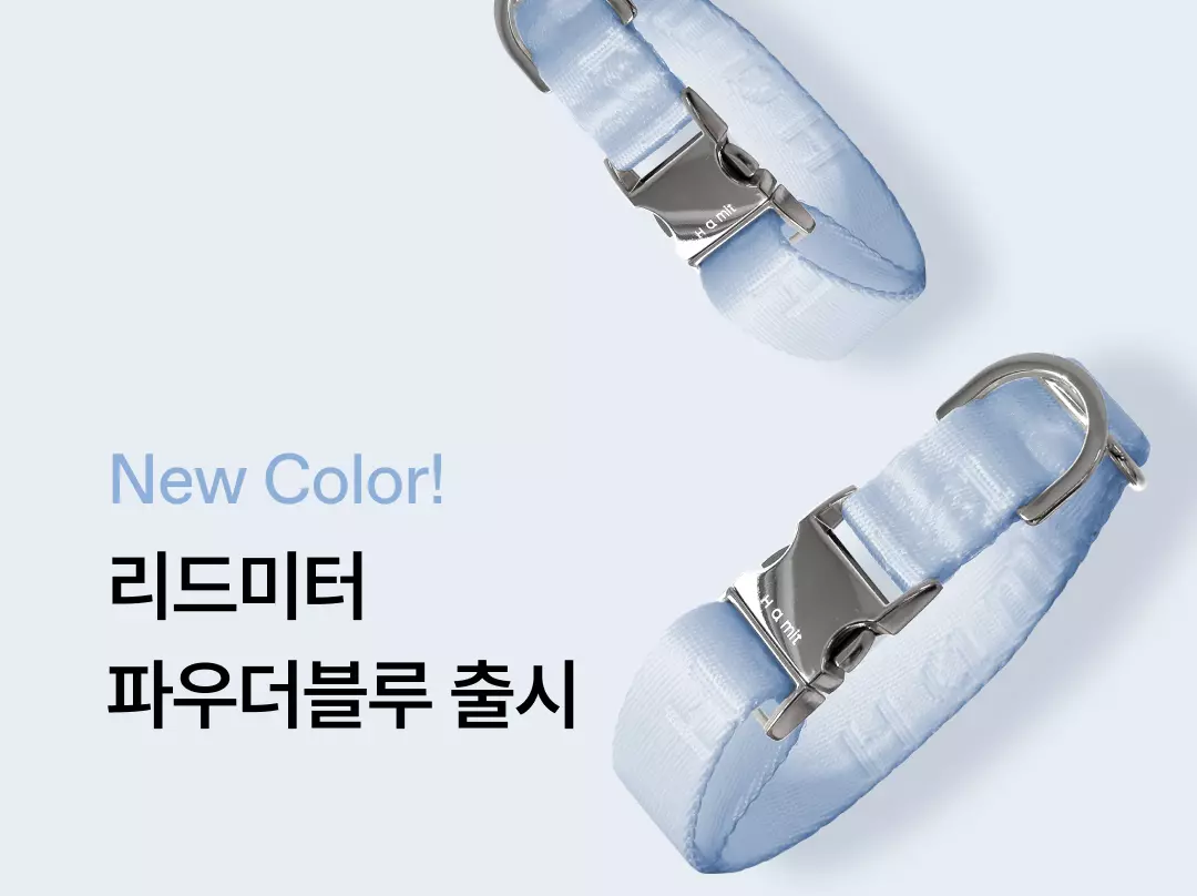 하밋 리드미터 파우더블루