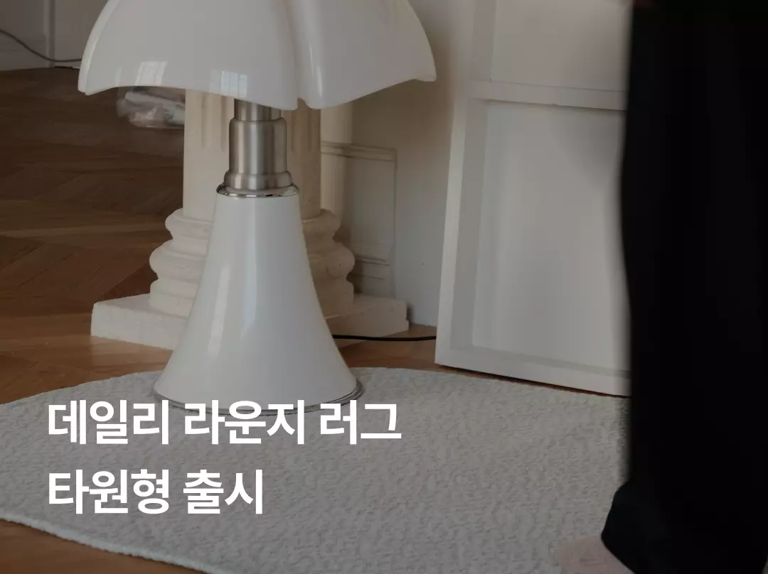 로우포인트 데일리 라운지 러그 타원형